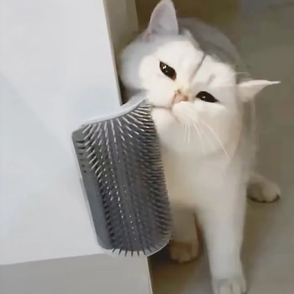 Kediler için Masaj Öğesi PP Ma - Hair Care Good Hair incelemesi ve fiyatı